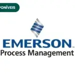 Emerson Process Management