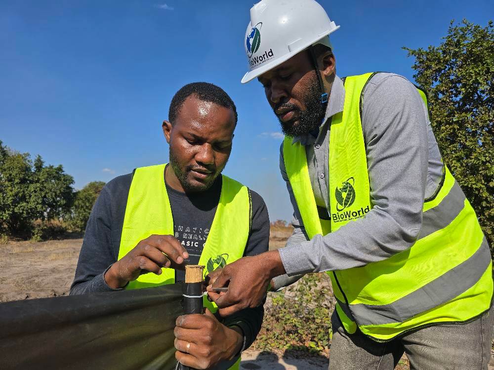 Vagas na BioWorld Angola